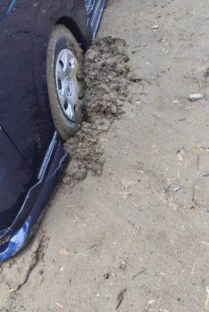 沼( Ꙭ)‼︎︎︎︎